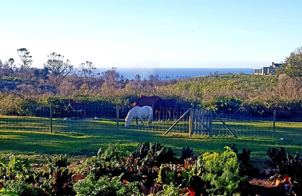 Stoneridge Farm Villa Plettenberg Bay Exterior photo